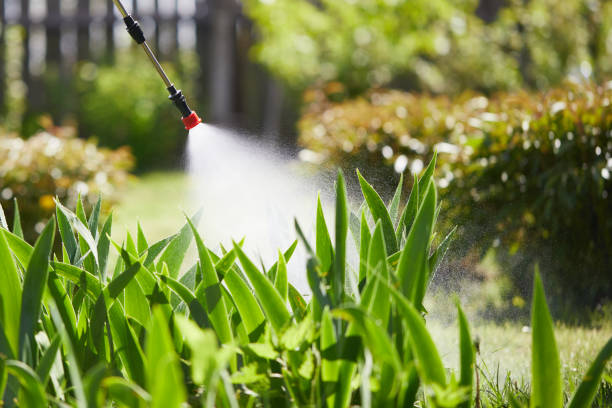 24/7 Emergency Mosquito Control experts in Ponce Inlet, FL