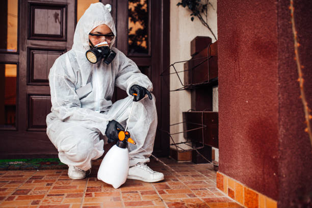Reliable Mosquito Control contractor in Ponce Inlet, FL by Show Me Pest Control